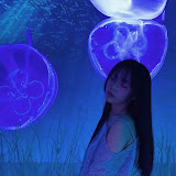 Jamonghae